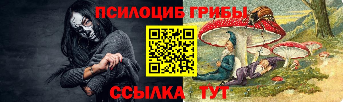 Псилоцибиновые грибы Magic Shrooms  Вход с VPN  Псилоцибиновые грибы GOLDEN TEACHER  Ишимбай 
