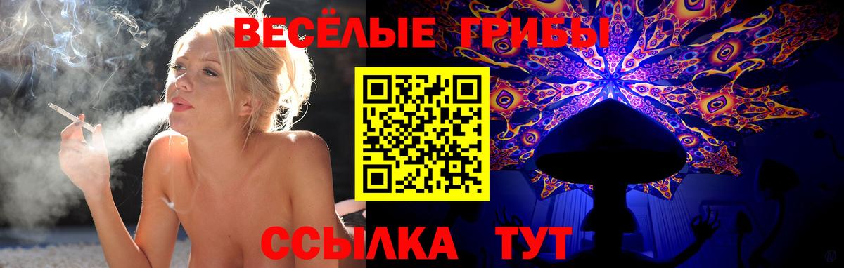 Псилоцибиновые грибы GOLDEN TEACHER Ишимбай