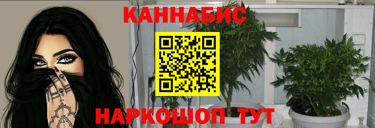 Каннабис MAZAR Ишимбай